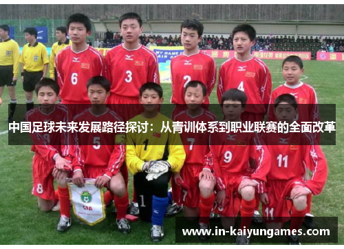 中国足球未来发展路径探讨：从青训体系到职业联赛的全面改革