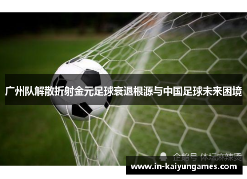 广州队解散折射金元足球衰退根源与中国足球未来困境