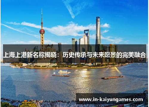 上海上港新名称揭晓：历史传承与未来愿景的完美融合